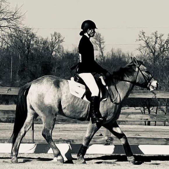 Family and pups - Picture 3 of 7